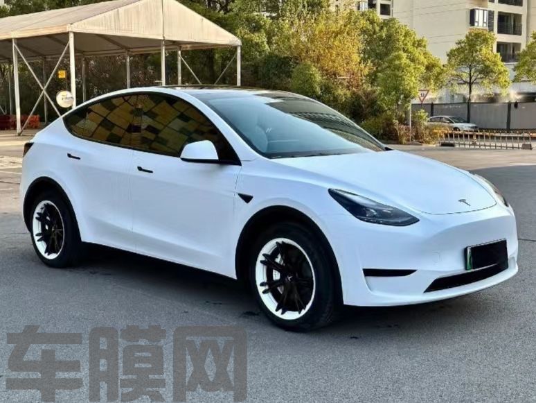 特斯拉Model Y 皓月白改色膜 效果图