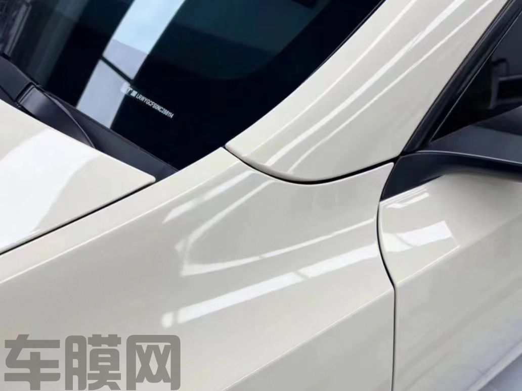 特斯拉Model Y PET卡其米兰改色膜 效果图